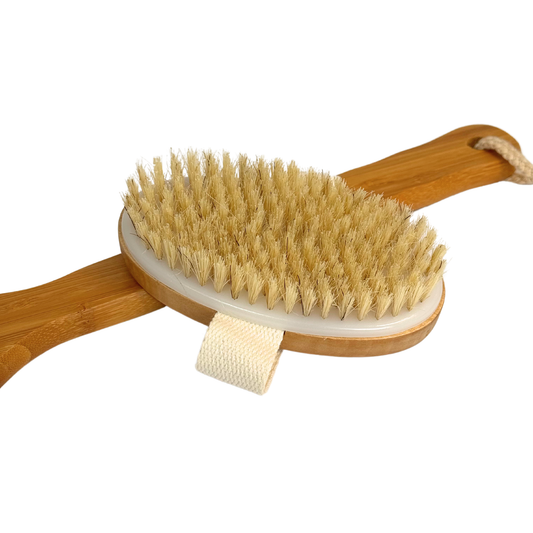 Cepillo_Corporal_de_Agave_Pequeno___Fondo_blanco_2